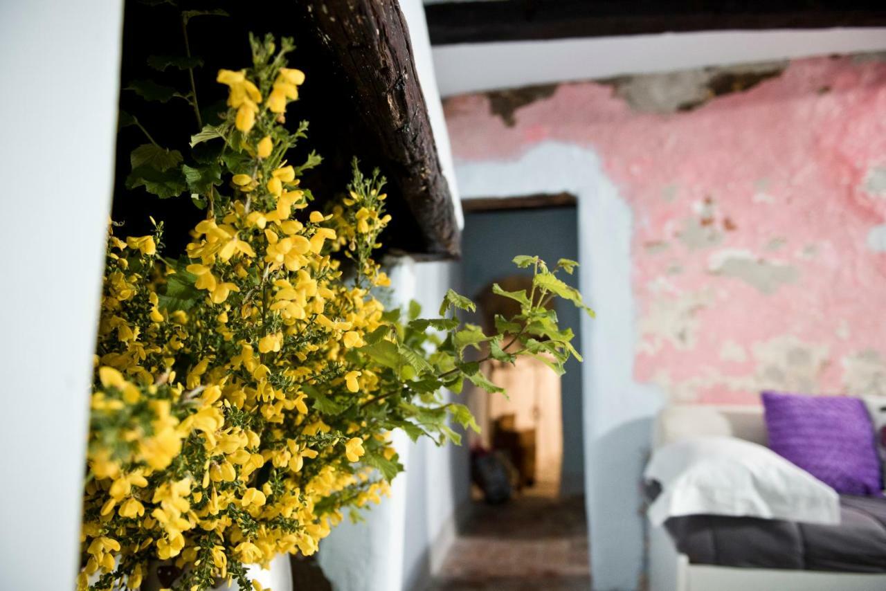 Giamevi House Lägenhet Vignanello Exteriör bild